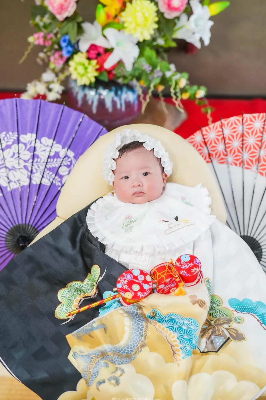 紫と赤の扇の前で、黒地の祝い着をかけたお宮参りの赤ちゃん