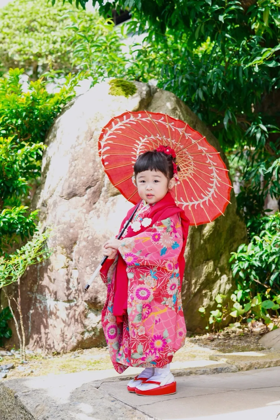 赤い和傘を持つ3歳女の子