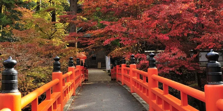 養父神社(養父市)